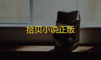 拾贝小说正版